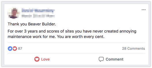 Beaver builder review
