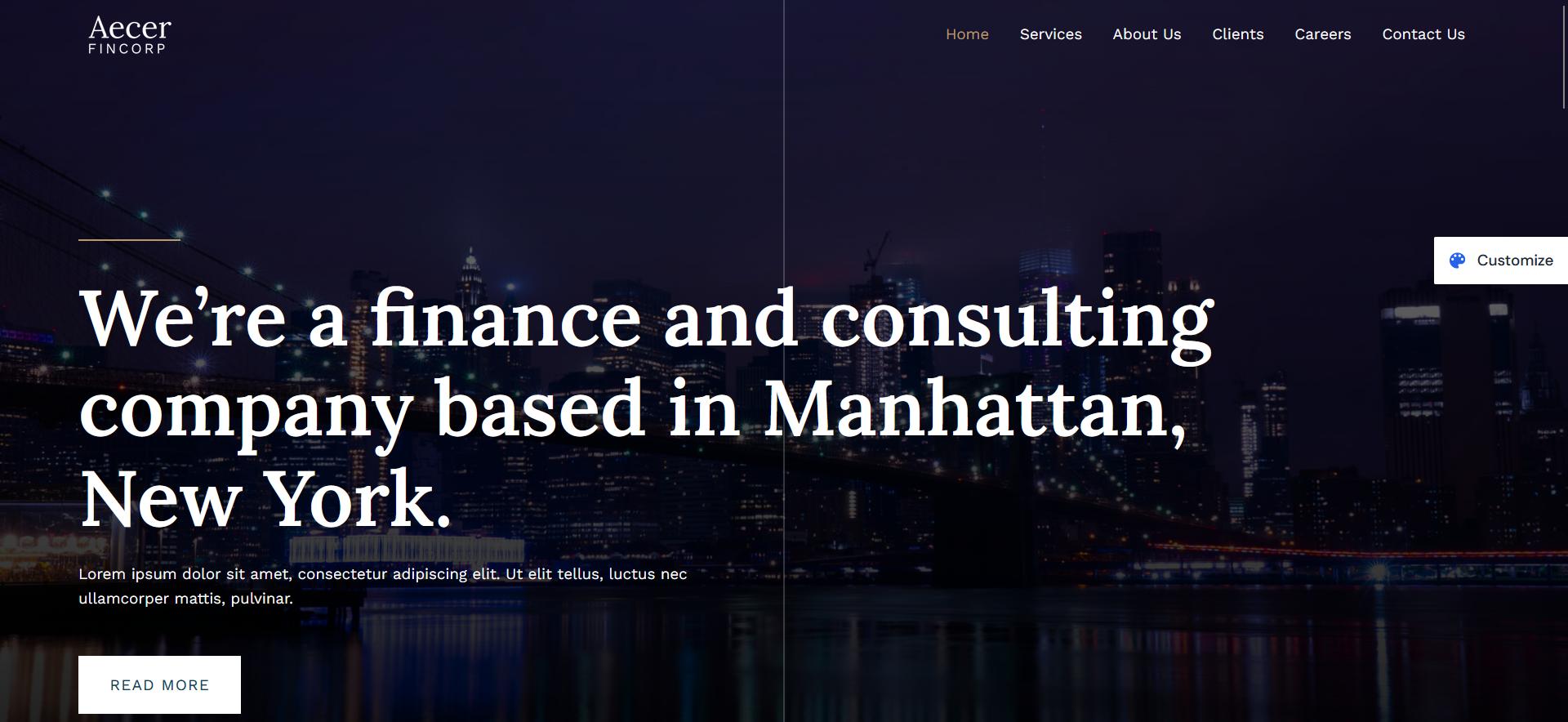 Premium quality template for finance websites