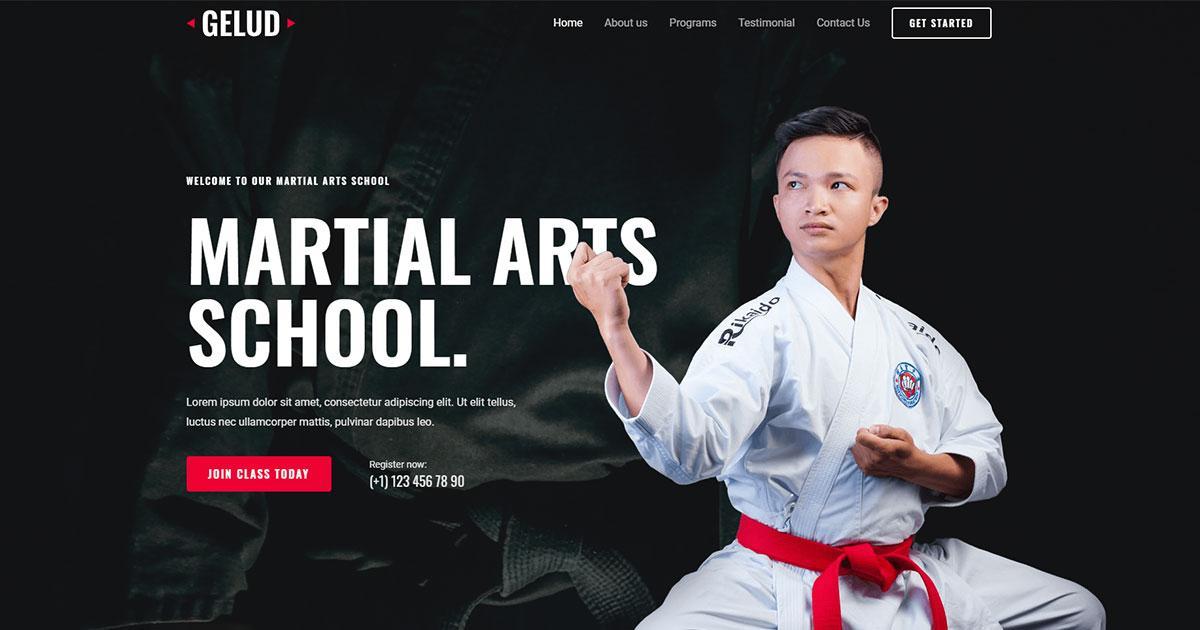 Website template for the school