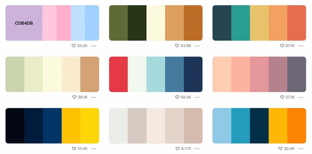 color palette