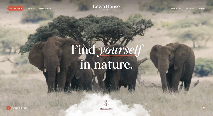 Lewa House website example