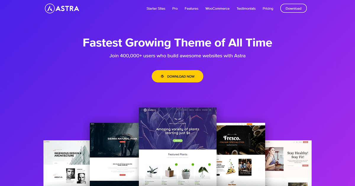 Image result for astra theme