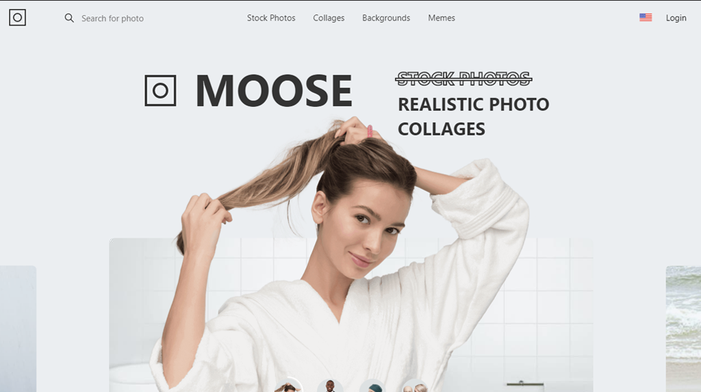 Moose stock image site