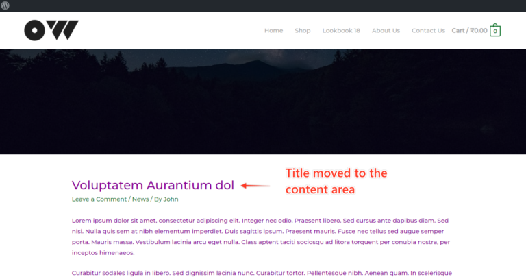 wordpress remove page header
