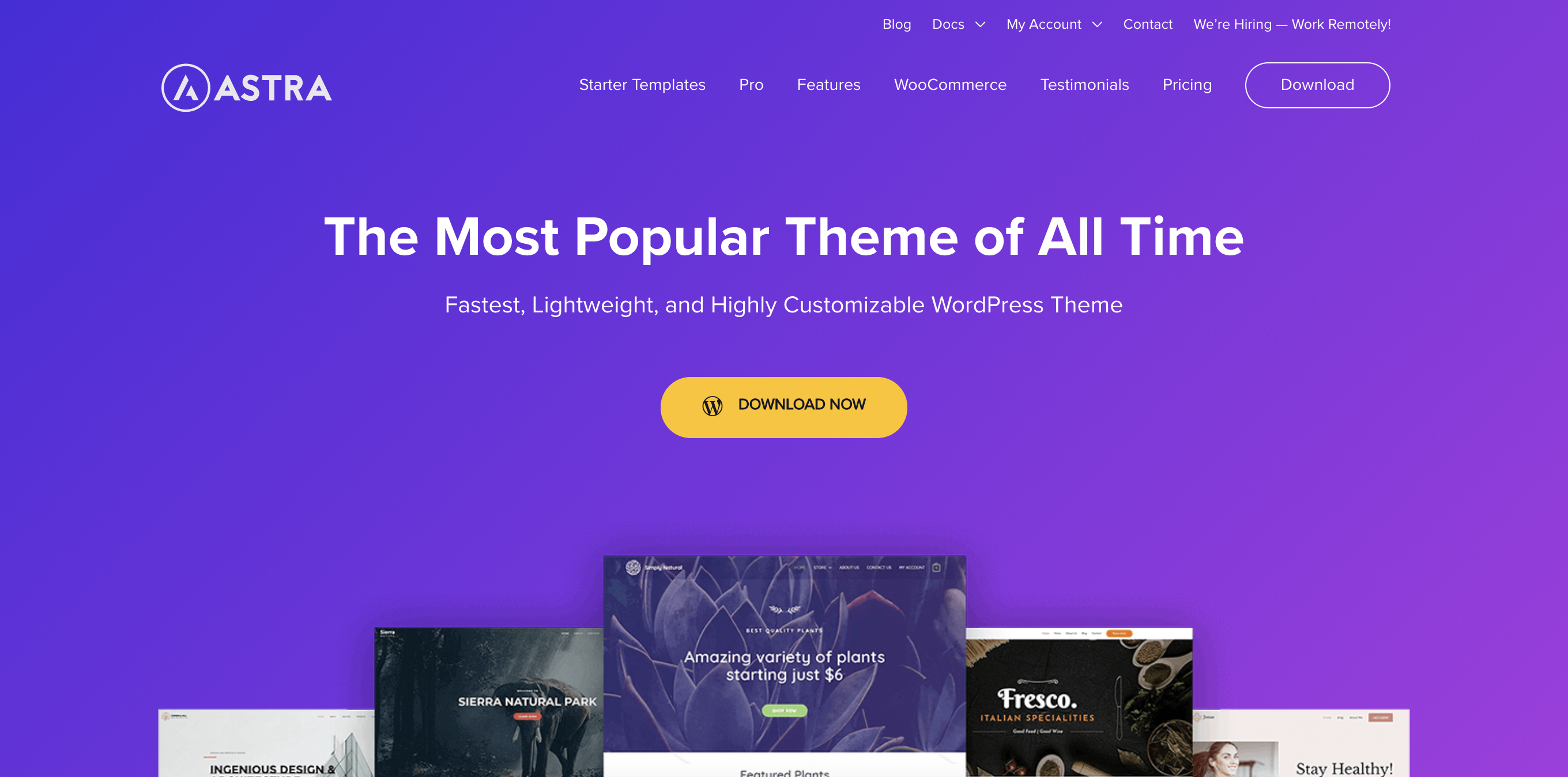 Astra theme banner