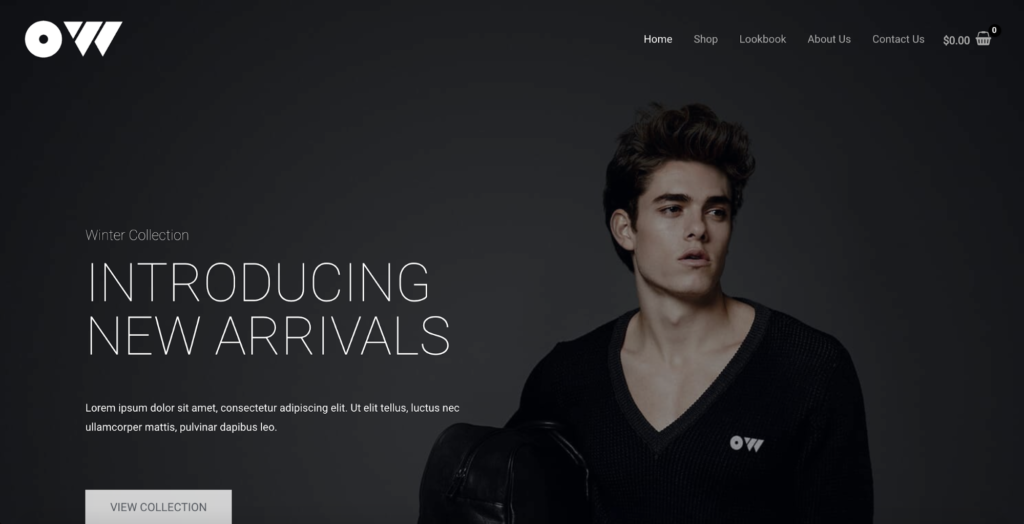 brandstore pro astra starter site