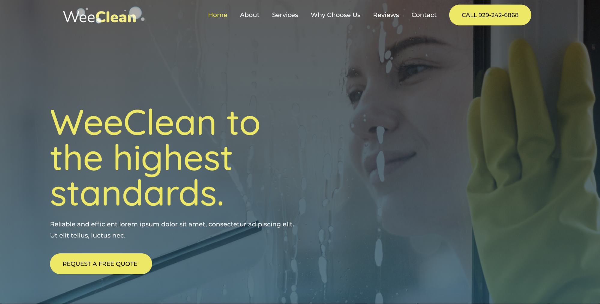 cleaning agency astra starter site