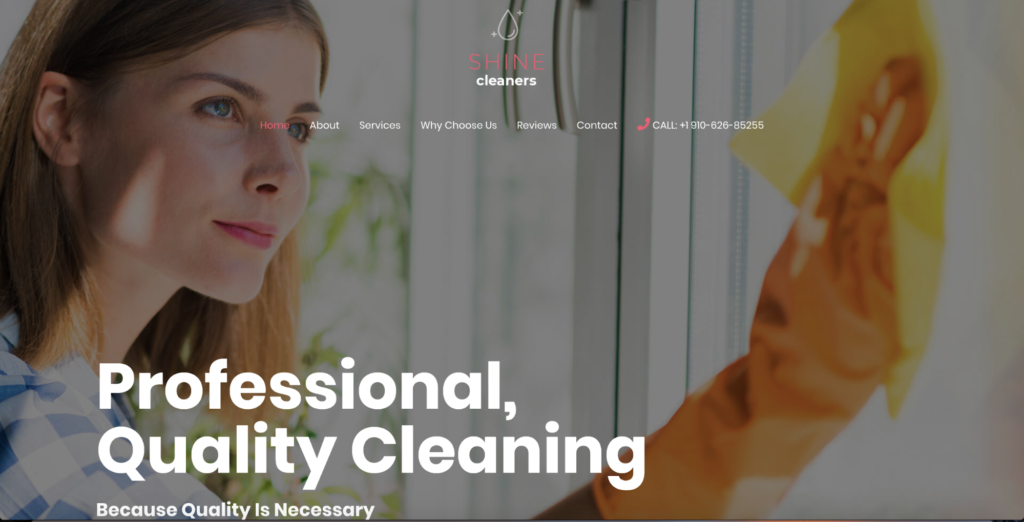 cleaning services astra starter site