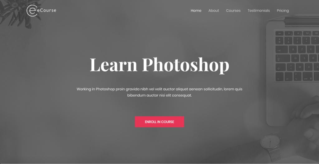 ecourse learn photoshop astra starter site