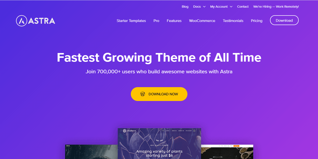 Astra theme homepage screenshot