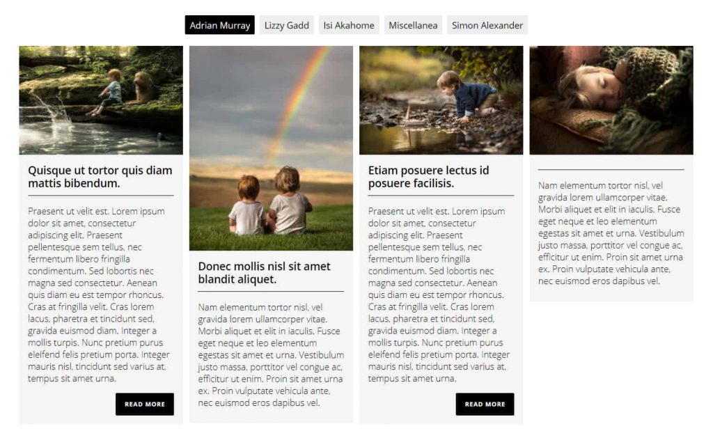 15 Best WordPress photo gallery plugins – Free and premium