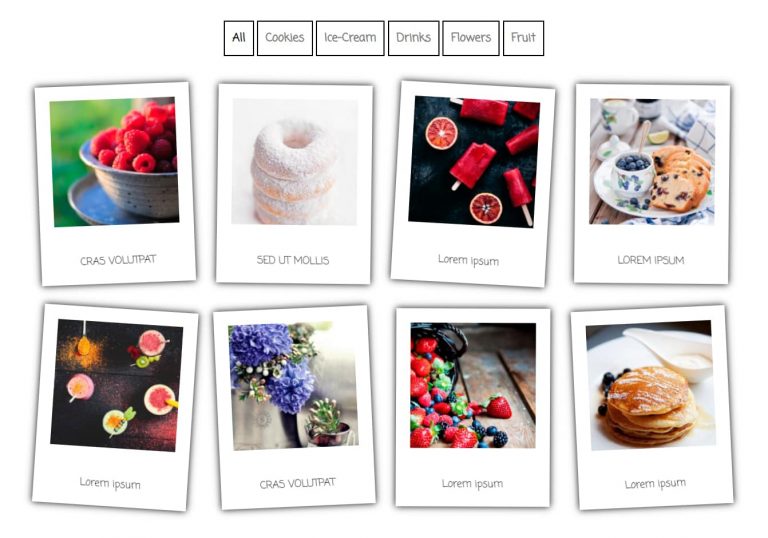 15 Best WordPress photo gallery plugins – Free and premium