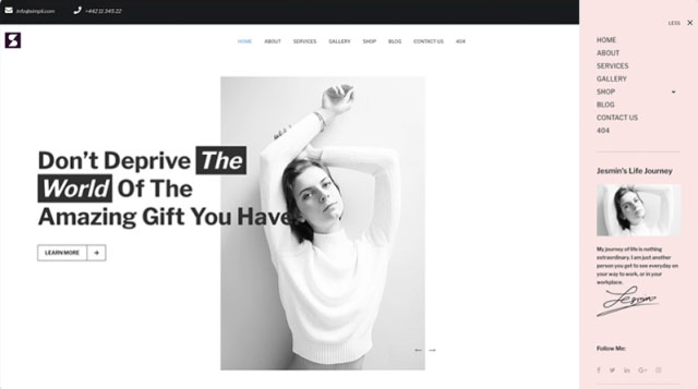 Simpli pro theme demo