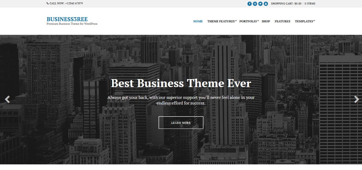 BUSINESS3REE wordpress 主题