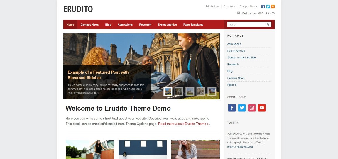 Erudito demo template
