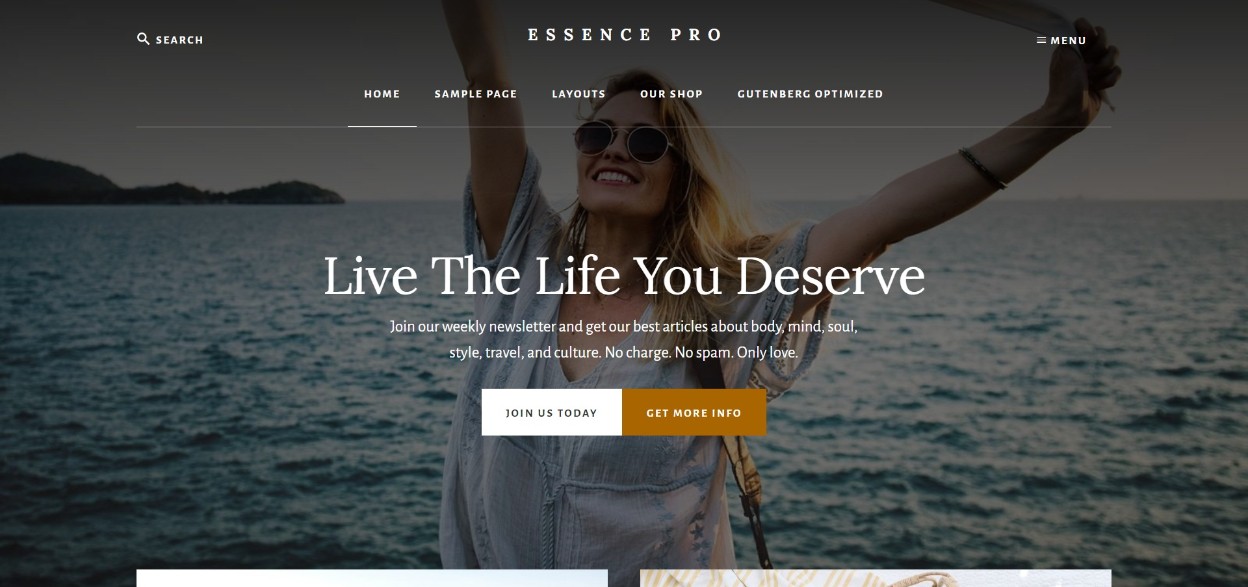 Essence Pro WordPress 主题