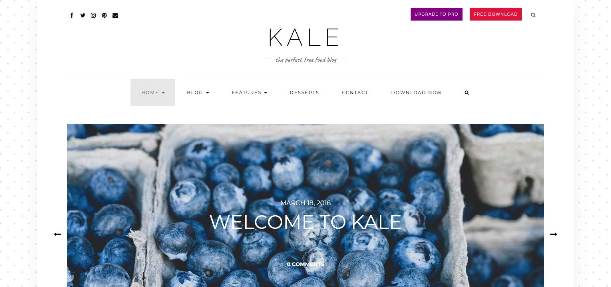 Kale wordpress theme