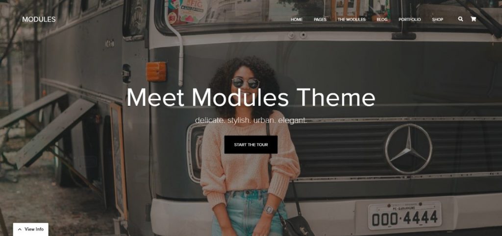MODULES wordpress theme