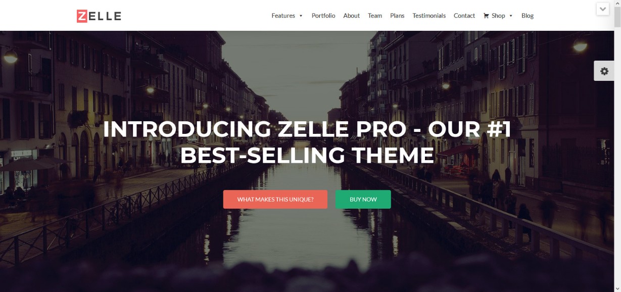 Zelle PRO WordPress Theme