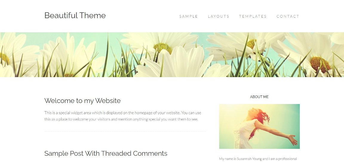 Beautiful Theme demo site