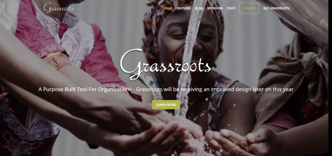 Grassroots wordpress theme website