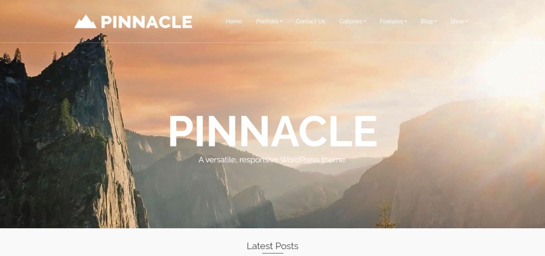 Pinnacle free theme