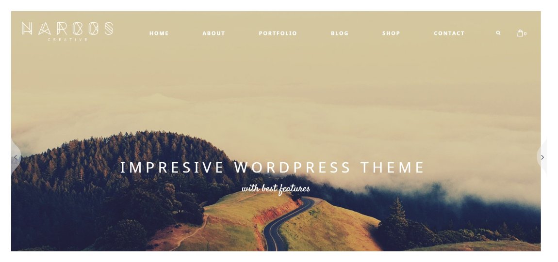 26 of the Best WordPress Themes for Nonprofit Organizations 85 narcos demo template