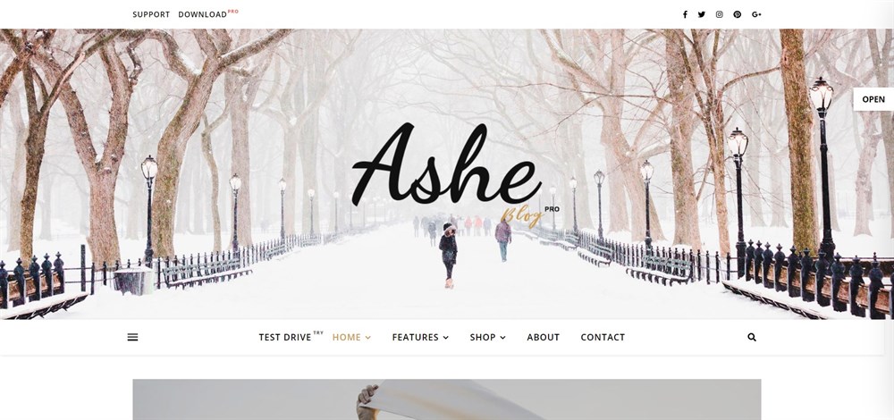 Ashe Premium WordPress 博客主题演示