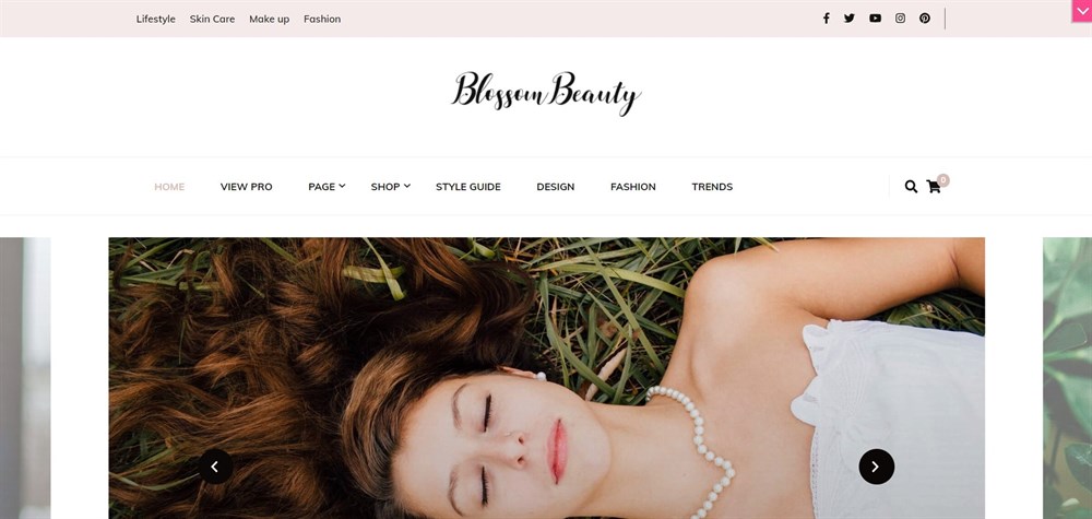 Blossom Beauty WordPress 主题演示