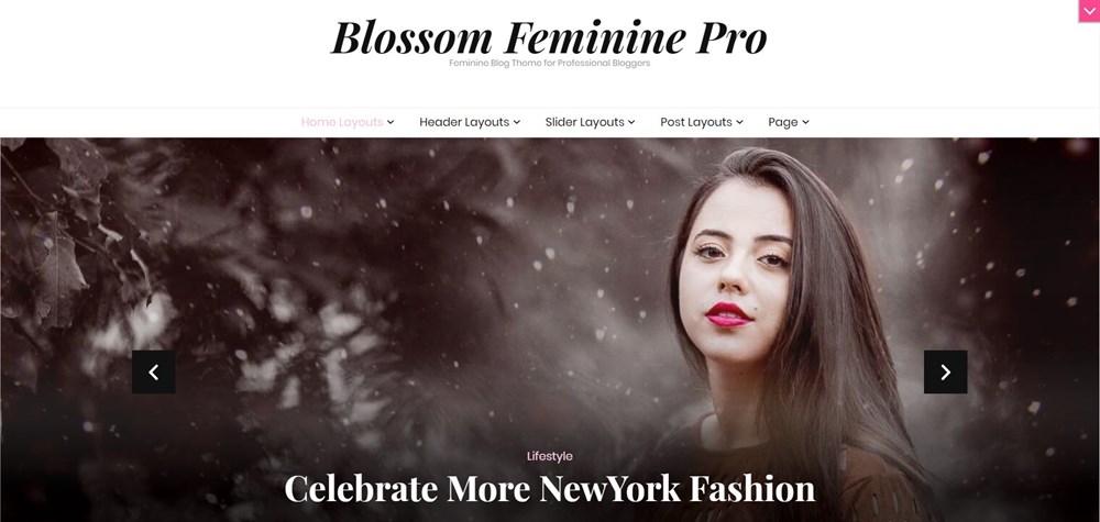 Blossom Feminine Pro WordPress 主题演示