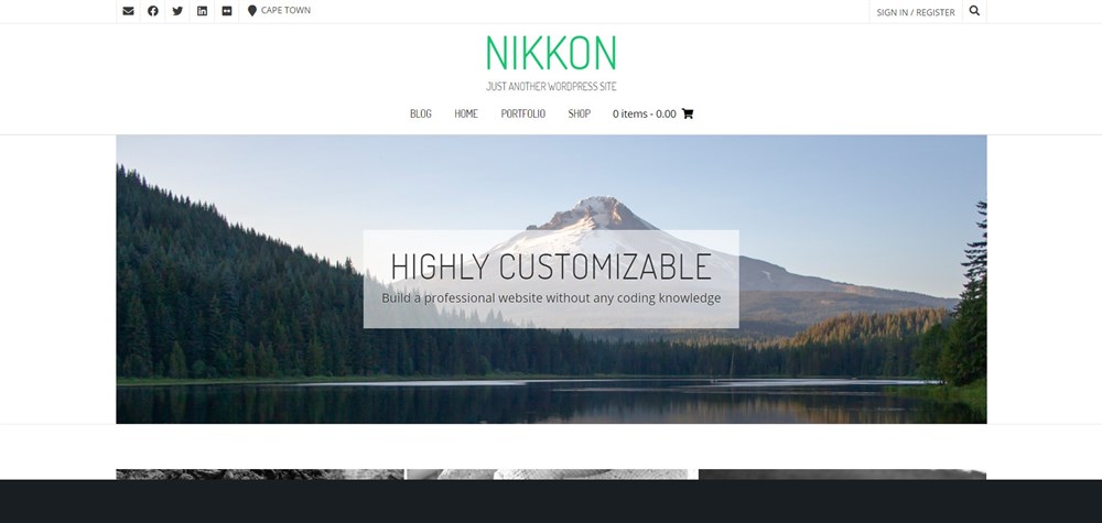 WordPress 的 Nikkon 投资组合主题