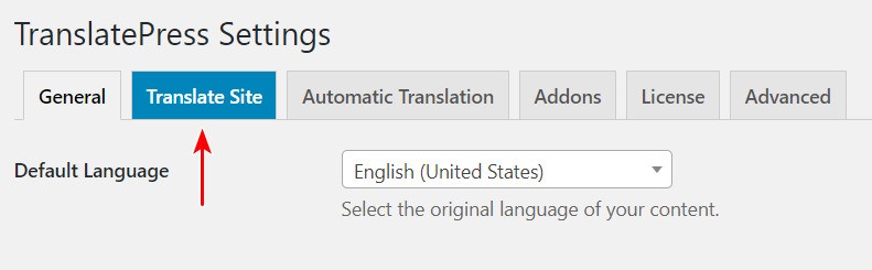 TranslatePress translate site