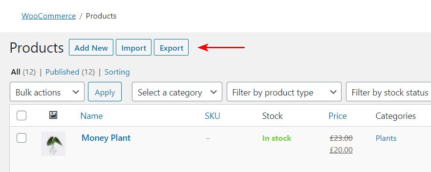 WooCommerce Export Products