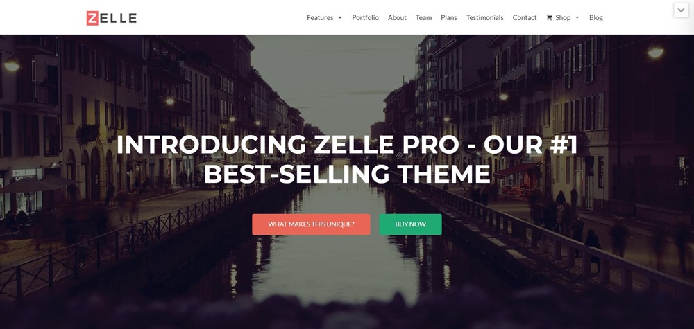 Zelle PRO WordPress Theme Demo