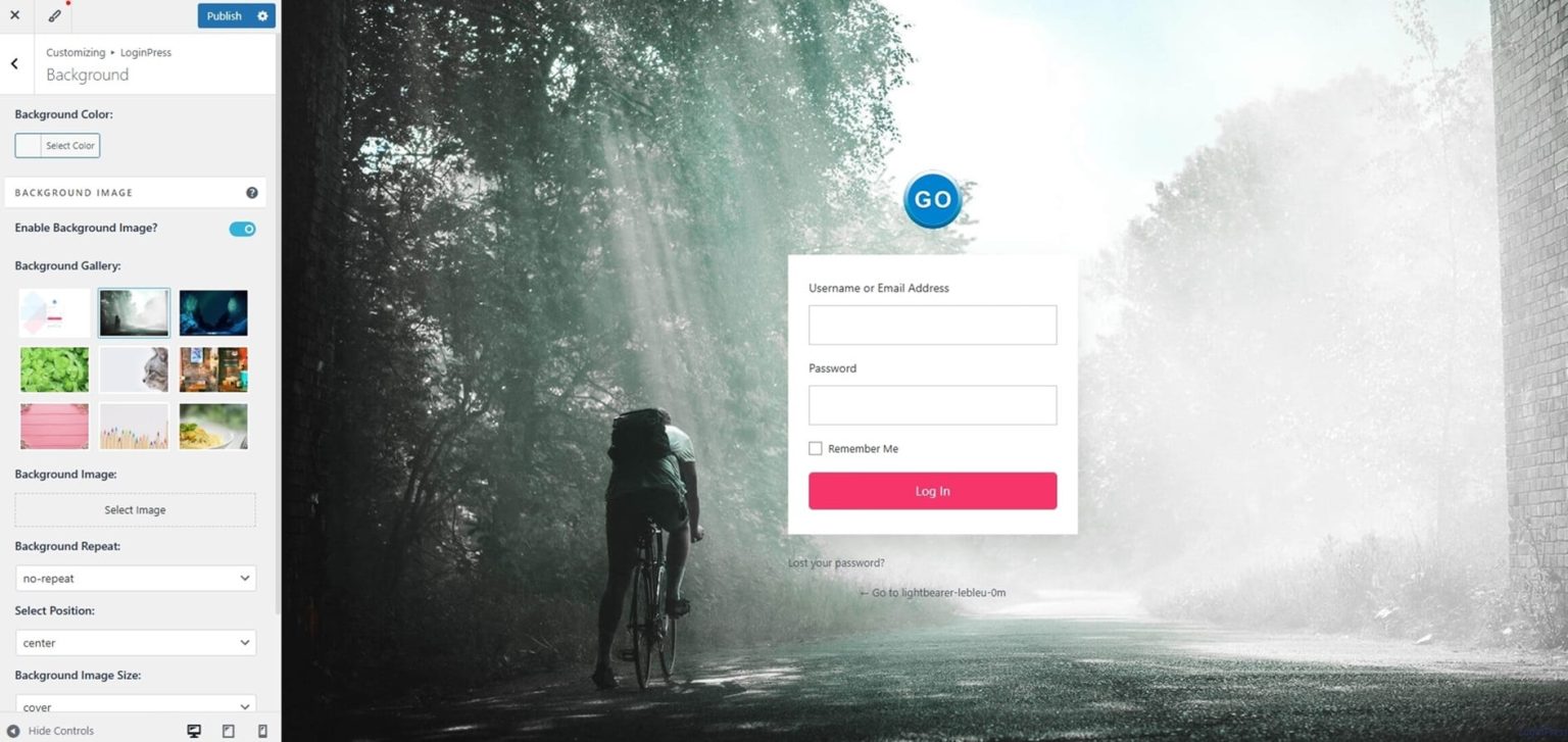 Wordpress Login Examples Create A Custom WordPress Login Page – 4 Easy Ways