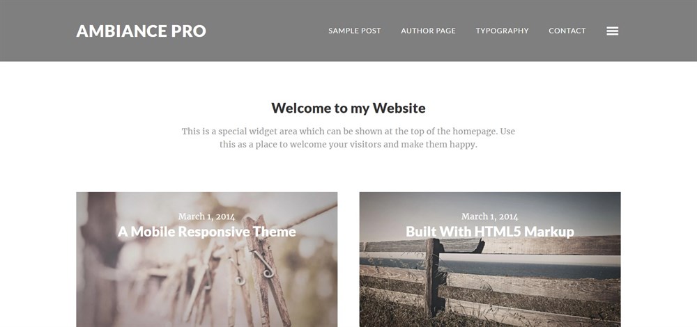 Ambiance Pro WordPress demo site