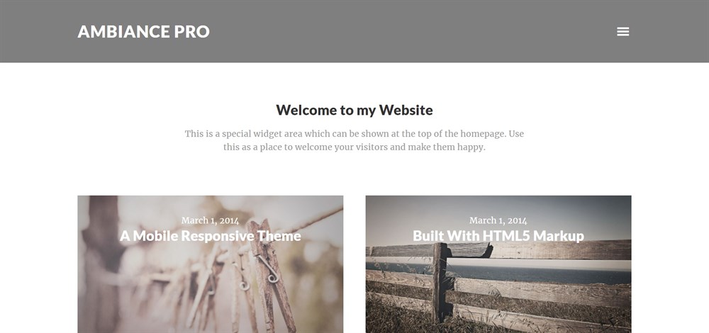 35 of the Best WordPress Themes for Artists in 2021 78 Ambiance Pro WordPress theme demo