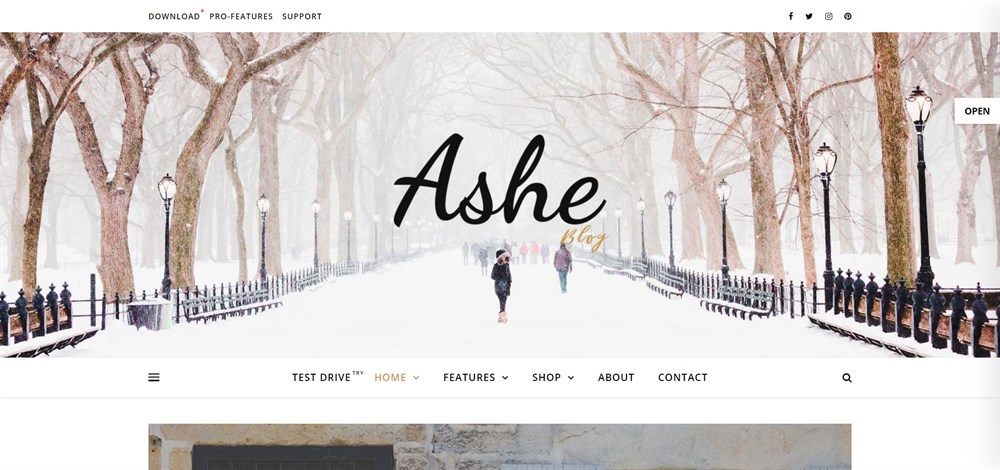 Ashe Free WordPress Blog Theme demo