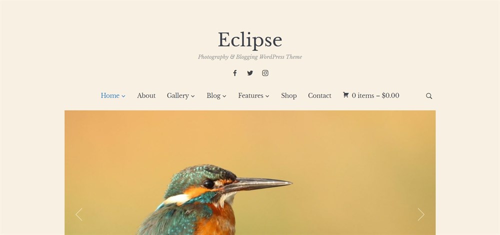 Eclipse 摄影和博客 WordPress 主题