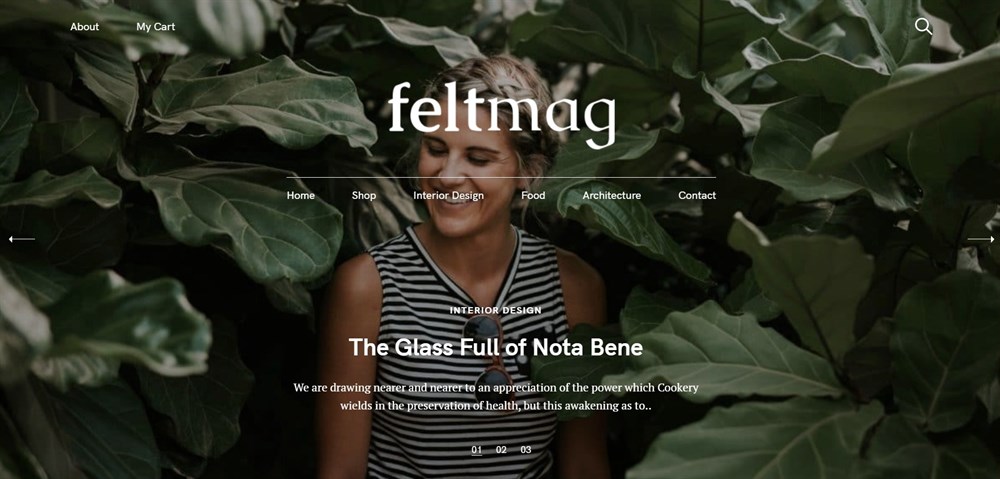 Felt Magazine theme demo