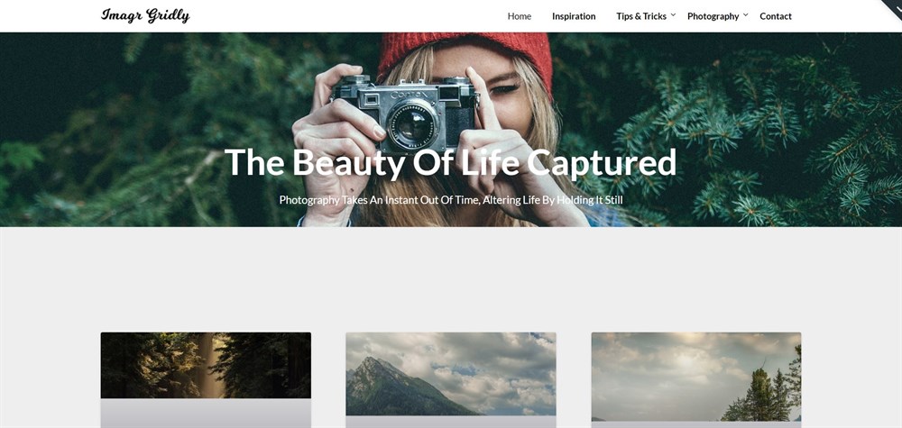 ImageGridly WordPress Theme Demo