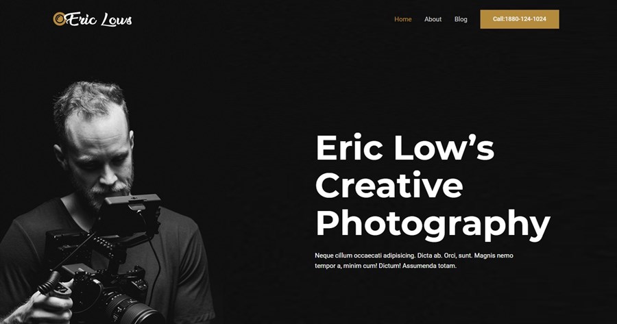 Photographer gutenberg website template