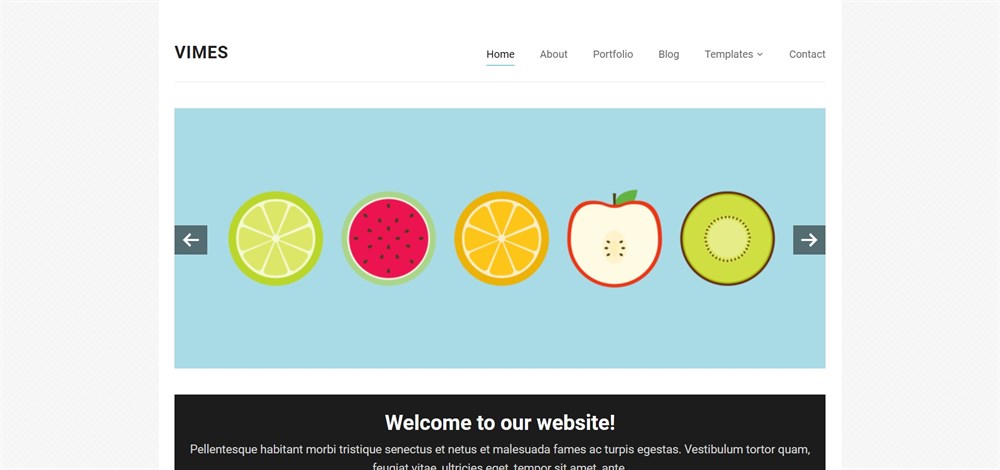 Vimes theme Demo site