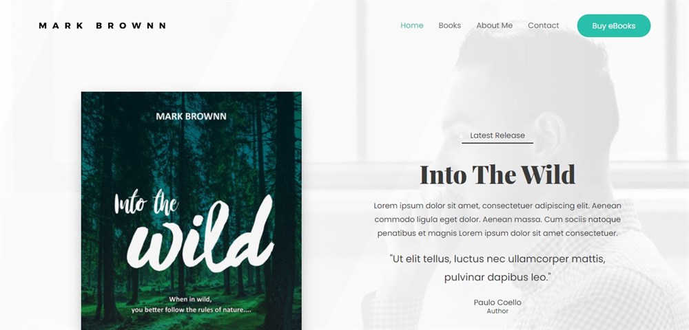 Astra Author website demo