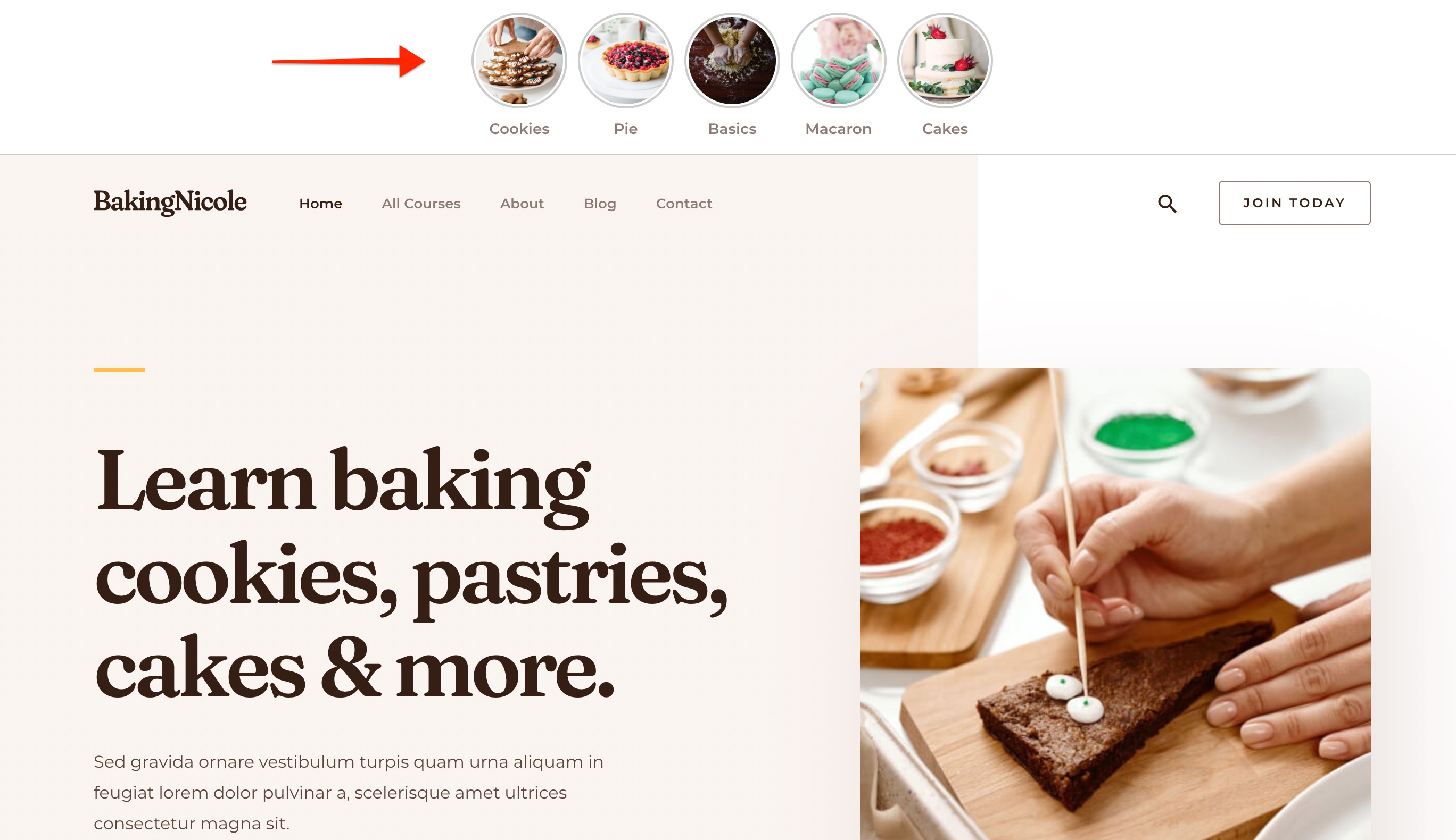 Display Web Stories on website