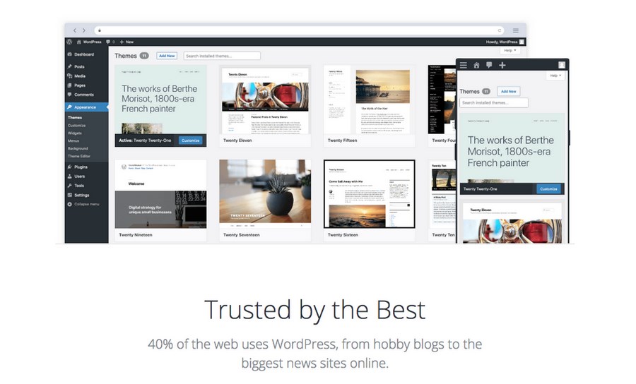 eCommerce store using WordPress