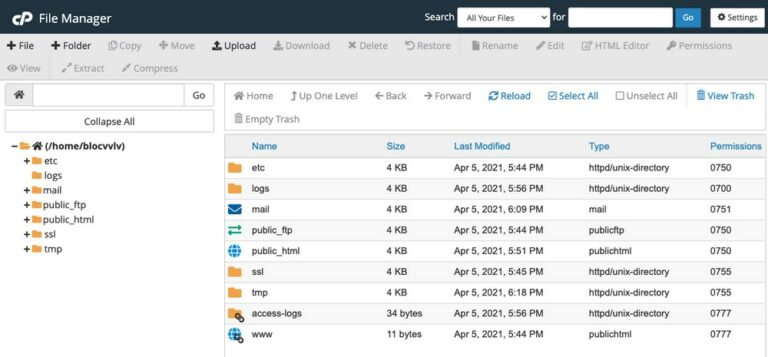 How To Use cPanel: The Complete Guide for Beginners