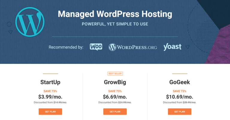12 "FASTEST" Managed WordPress Hosting Providers (2023 List)