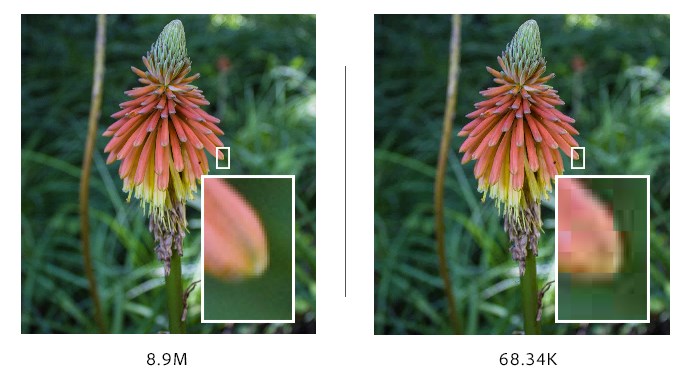 compressed image comparison