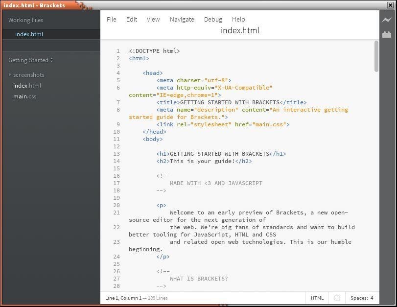 light text editor for coding